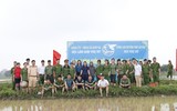 CAH Phú Xuyên hăng hái xuống đồng giúp dân cấy lúa